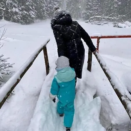 Pod Smrečkami S Krbom A Krásnym Prostredím Ždiar