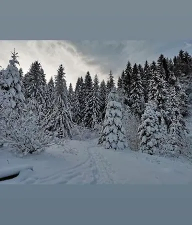 Ferienhaus Pod Smreckami S Krbom A Krasnym Prostredim *