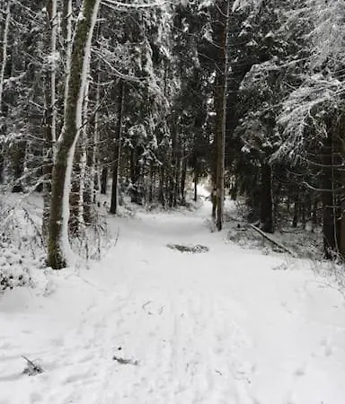 Pod Smreckami S Krbom A Krasnym Prostredim *